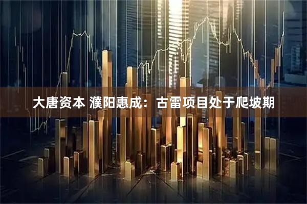 大唐资本 濮阳惠成：古雷项目处于爬坡期