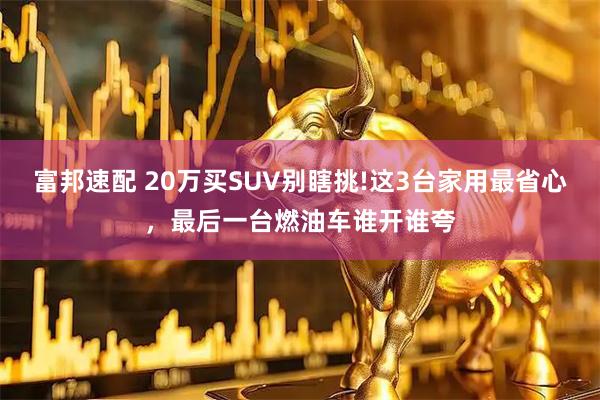 富邦速配 20万买SUV别瞎挑!这3台家用最省心，最后一台燃油车谁开谁夸